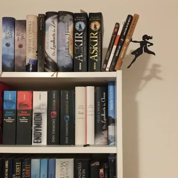 תומכי ספרים בהשראת גיבורי על