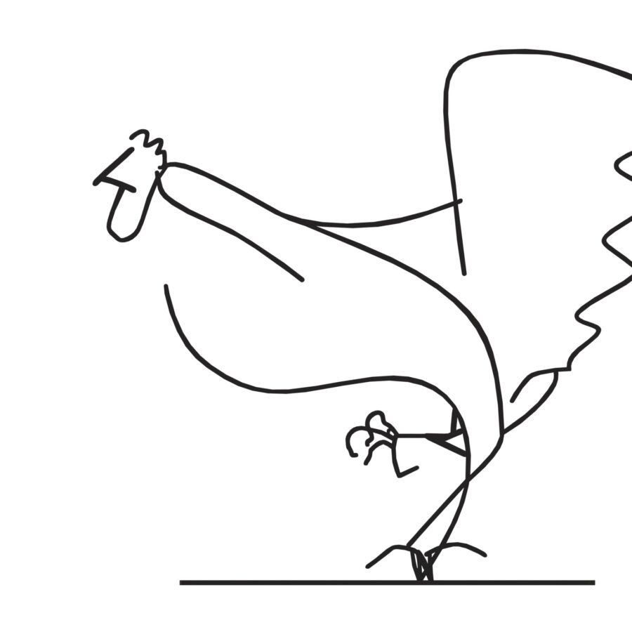rooster B 24 30 CM